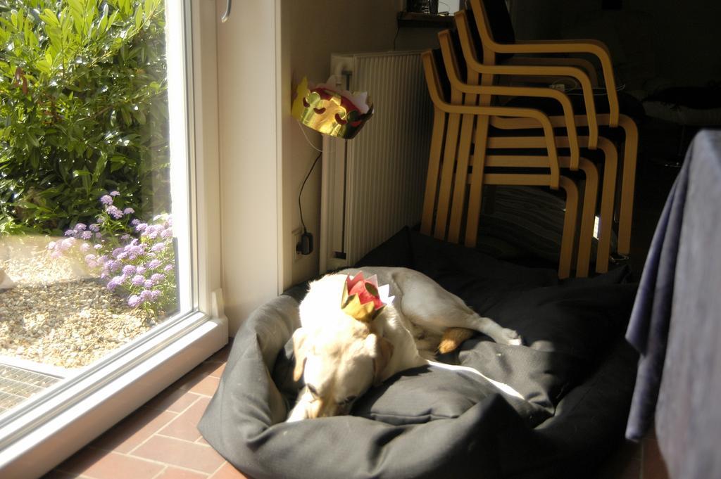 Nr. Nebel Overnatning Hostel Nørre Nebel Zewnętrze zdjęcie